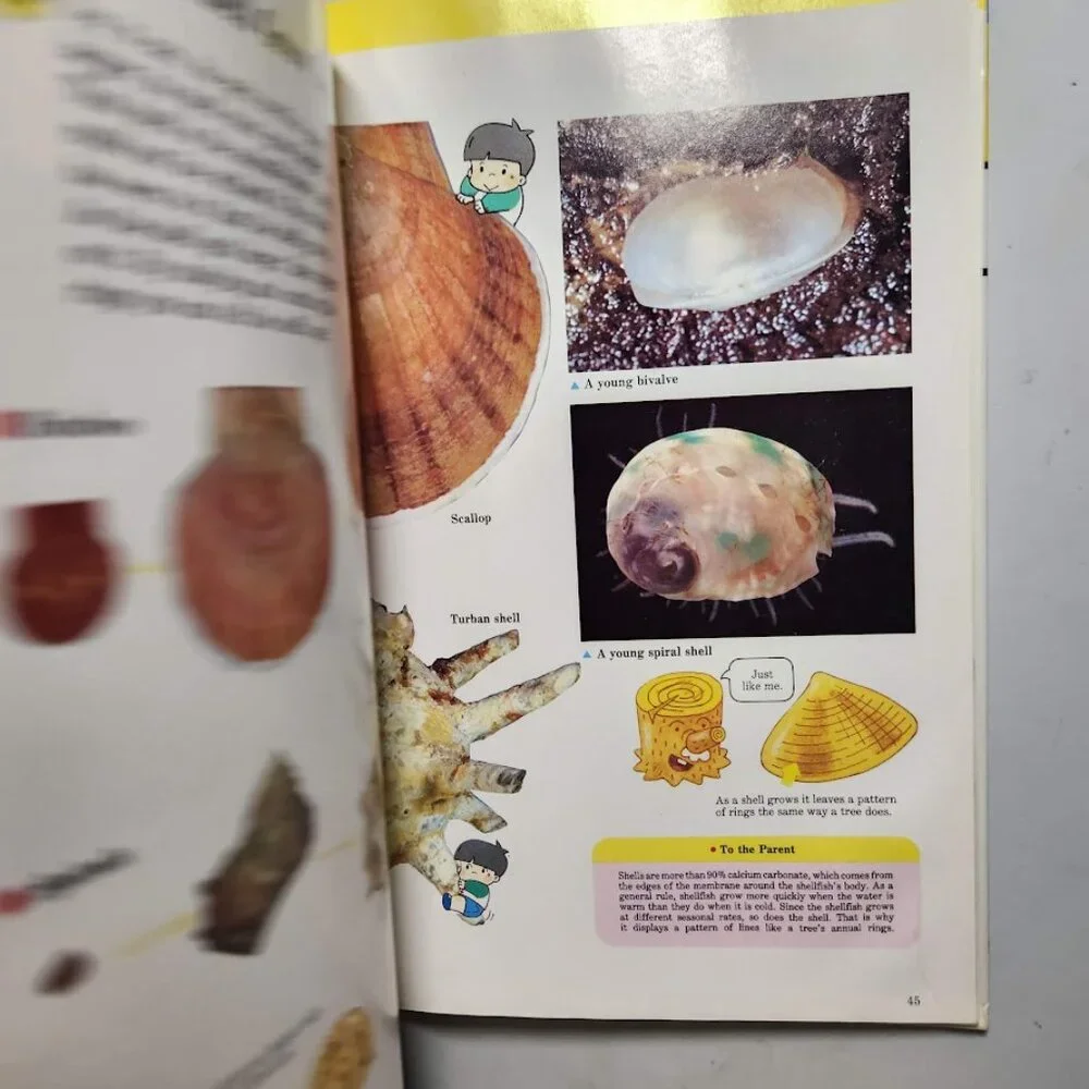 Life in the Water Child's First Library of Learning Science Stem Book Homeschool
